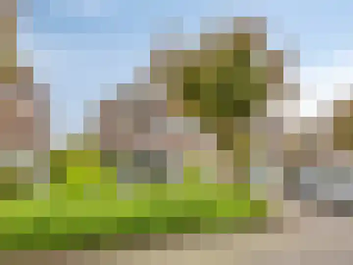 Lagedijk 21 Heerhugowaard thumbnail 49