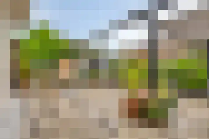 Lagedijk 21 Heerhugowaard thumbnail 5
