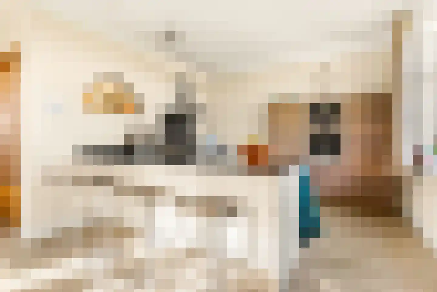 Lagedijk 3 Spaarndam thumbnail 27
