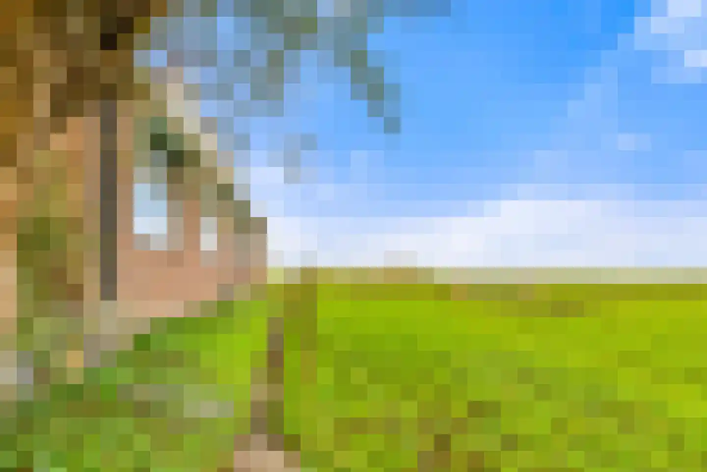 Lagedijk 3 Spaarndam thumbnail 43