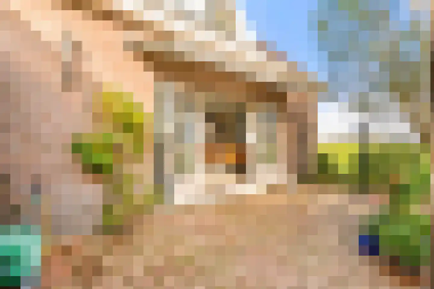Lagedijk 3 Spaarndam thumbnail 45
