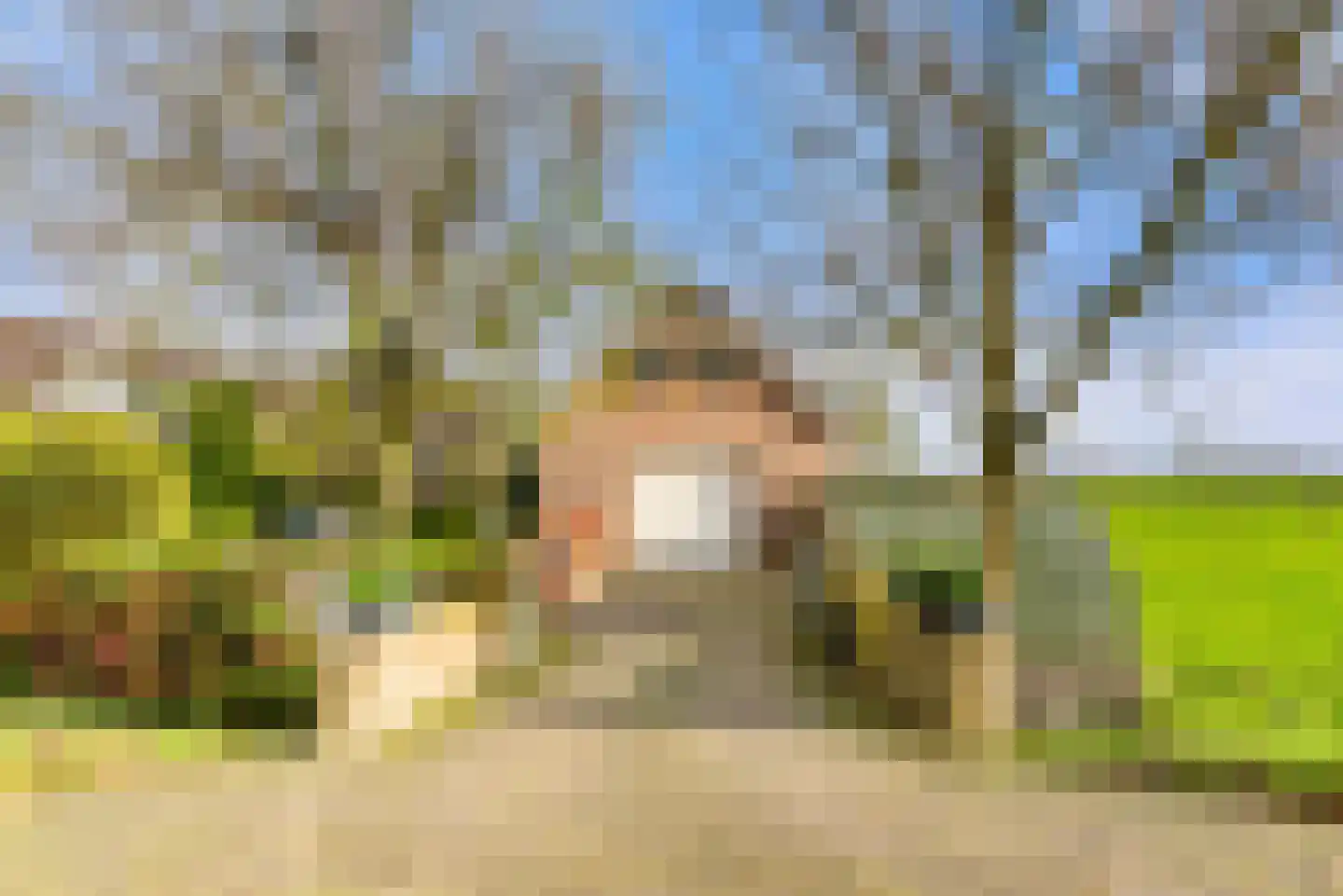 Lagedijk 3 Spaarndam thumbnail 5