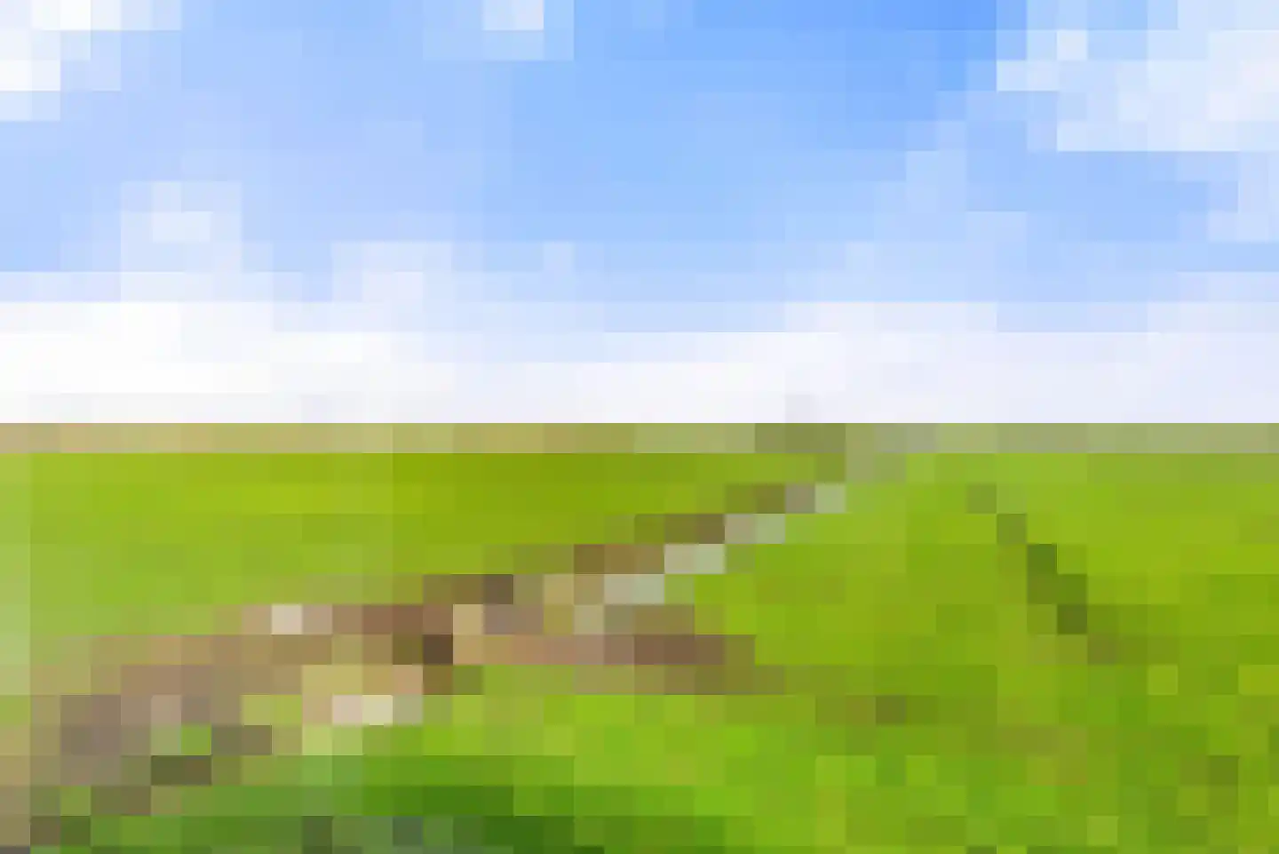 Lagedijk 3 Spaarndam thumbnail 52