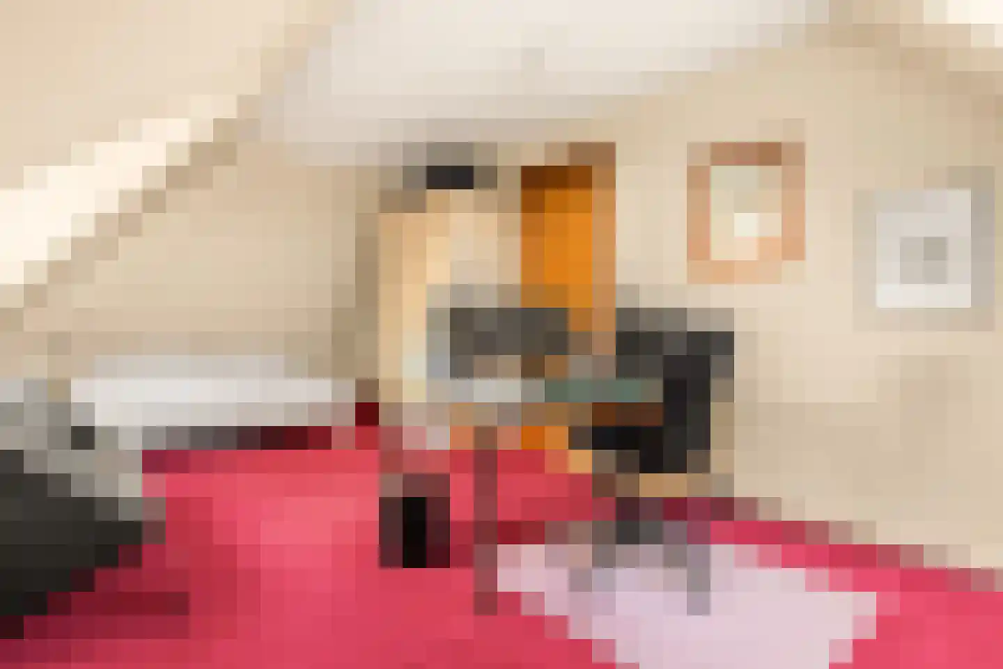 Lagedijk 3 Spaarndam thumbnail 56