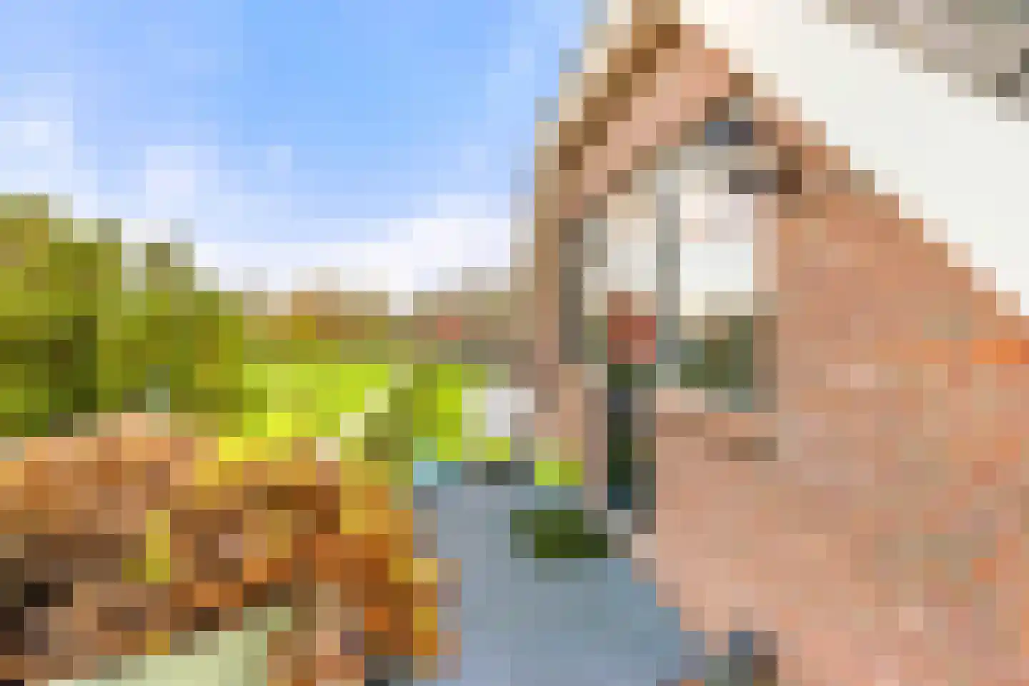Lagedijk 3 Spaarndam thumbnail 65