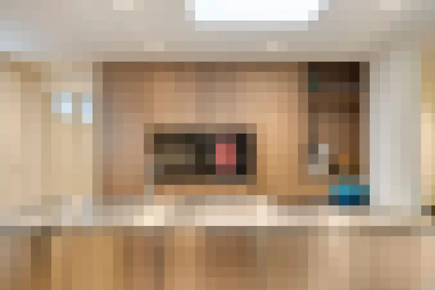 Lagedijk 31 A Zaandijk thumbnail 29