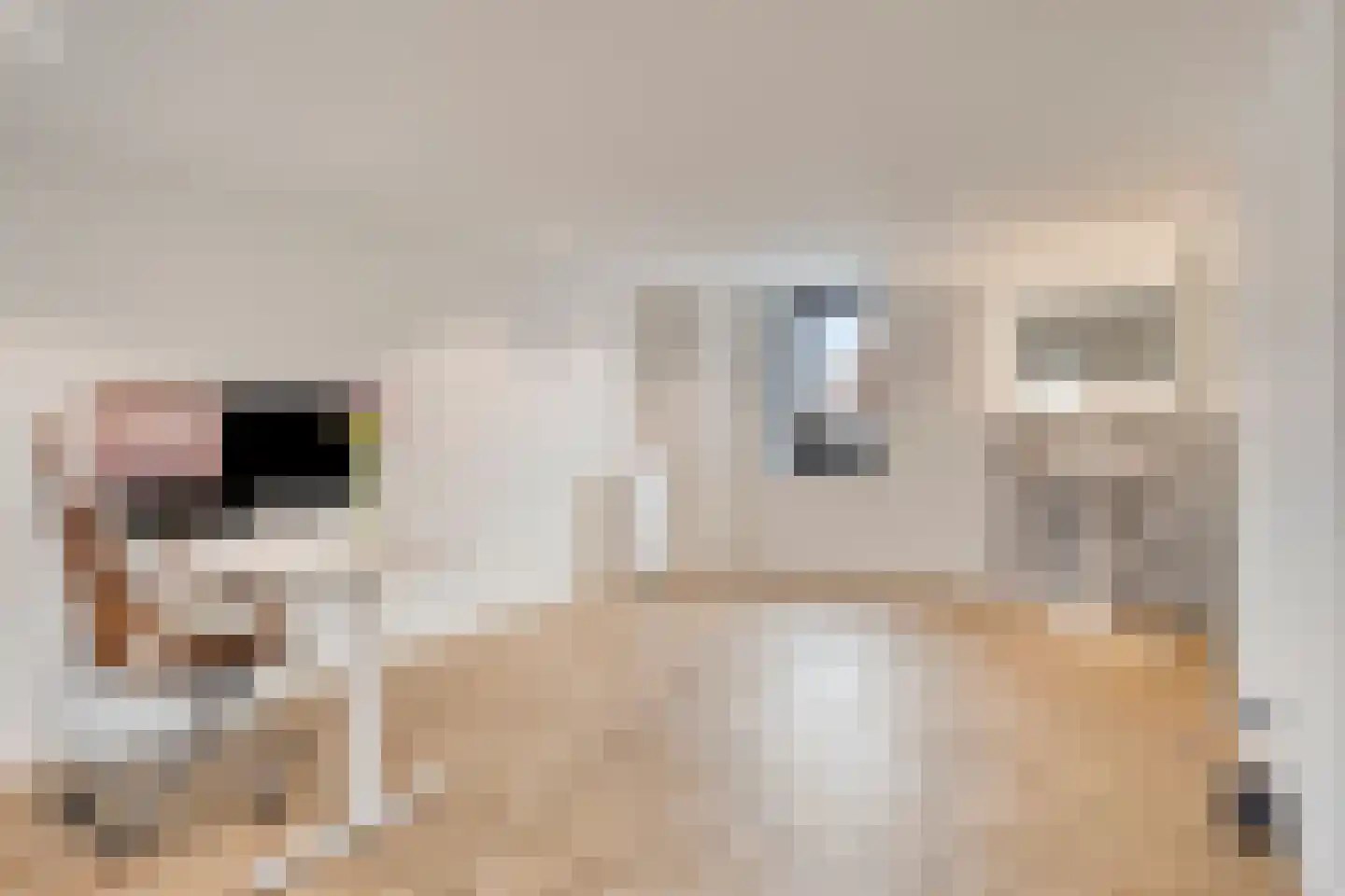 Lagedijk 31 A Zaandijk thumbnail 36
