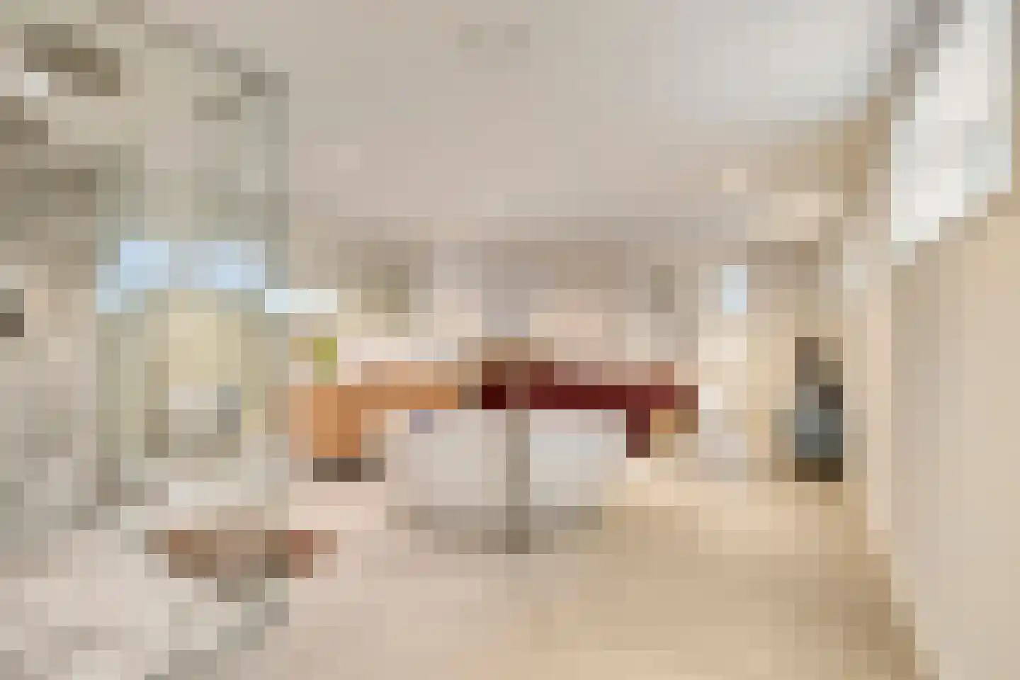 Lagedijk 31 A Zaandijk thumbnail 46