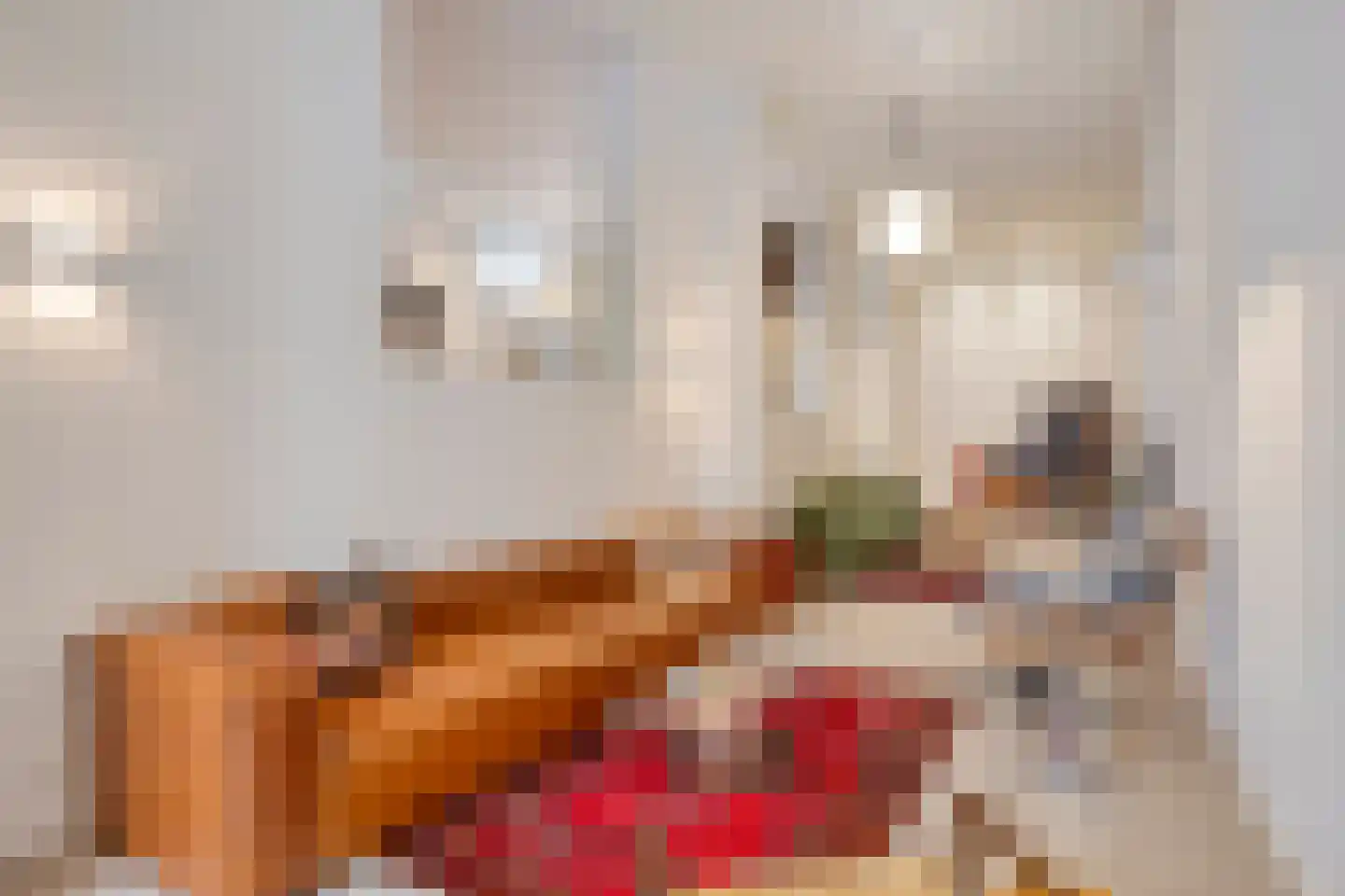 Lagedijk 31 A Zaandijk thumbnail 6
