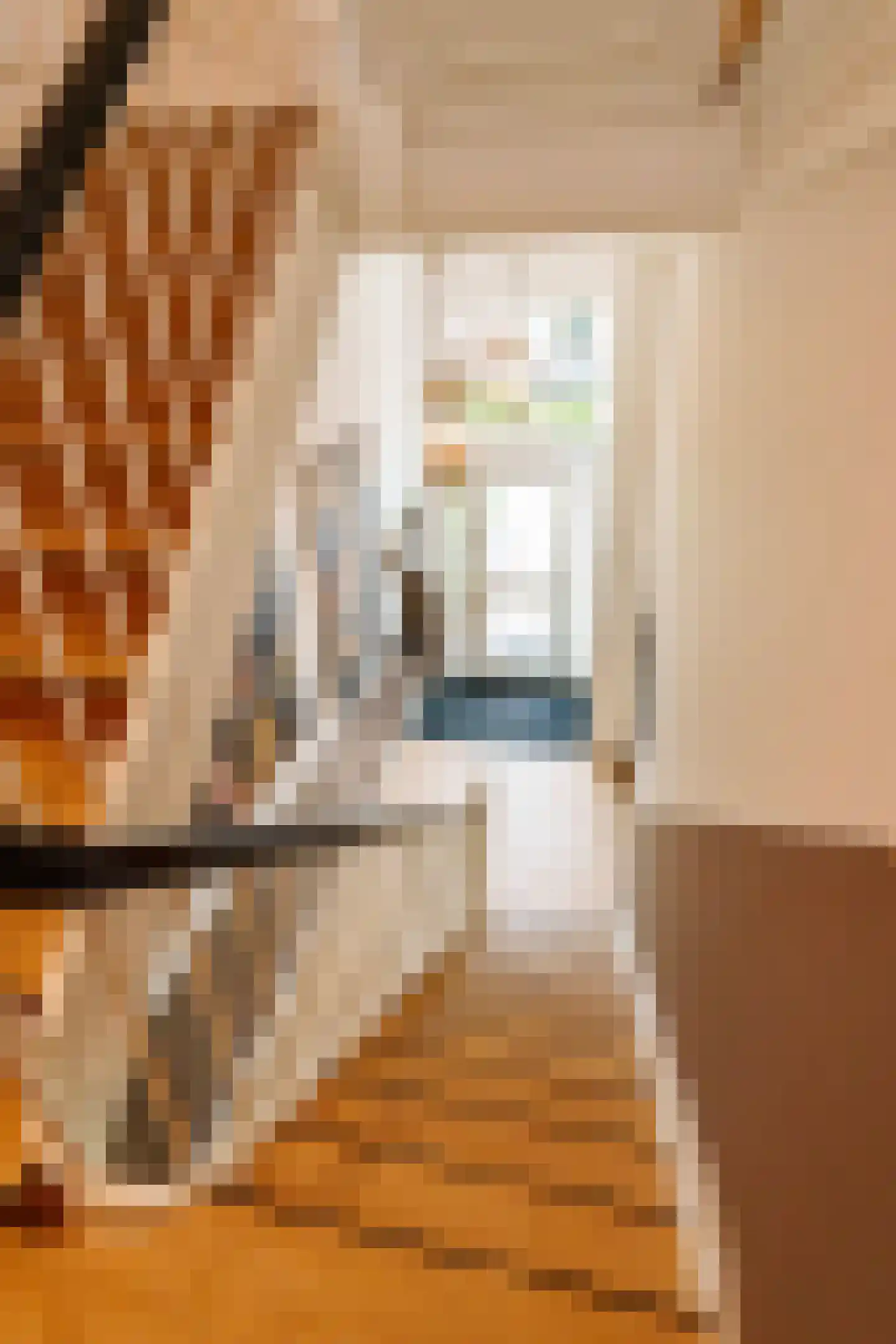Lagedijk 33 Zaandijk thumbnail 10