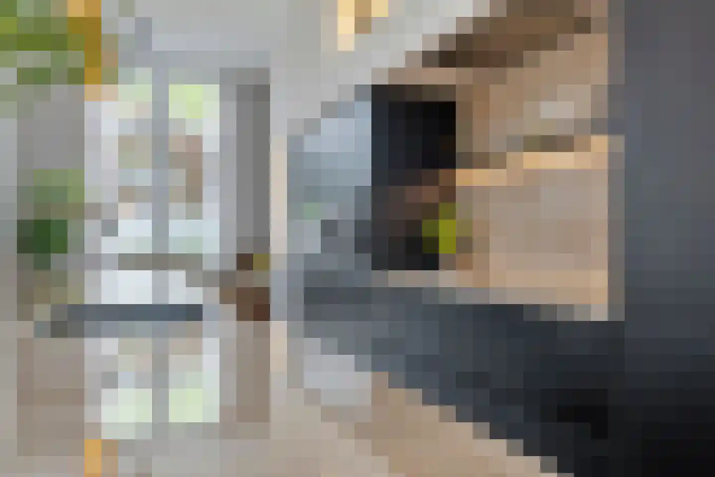 Lagedijk 33 Zaandijk thumbnail 20