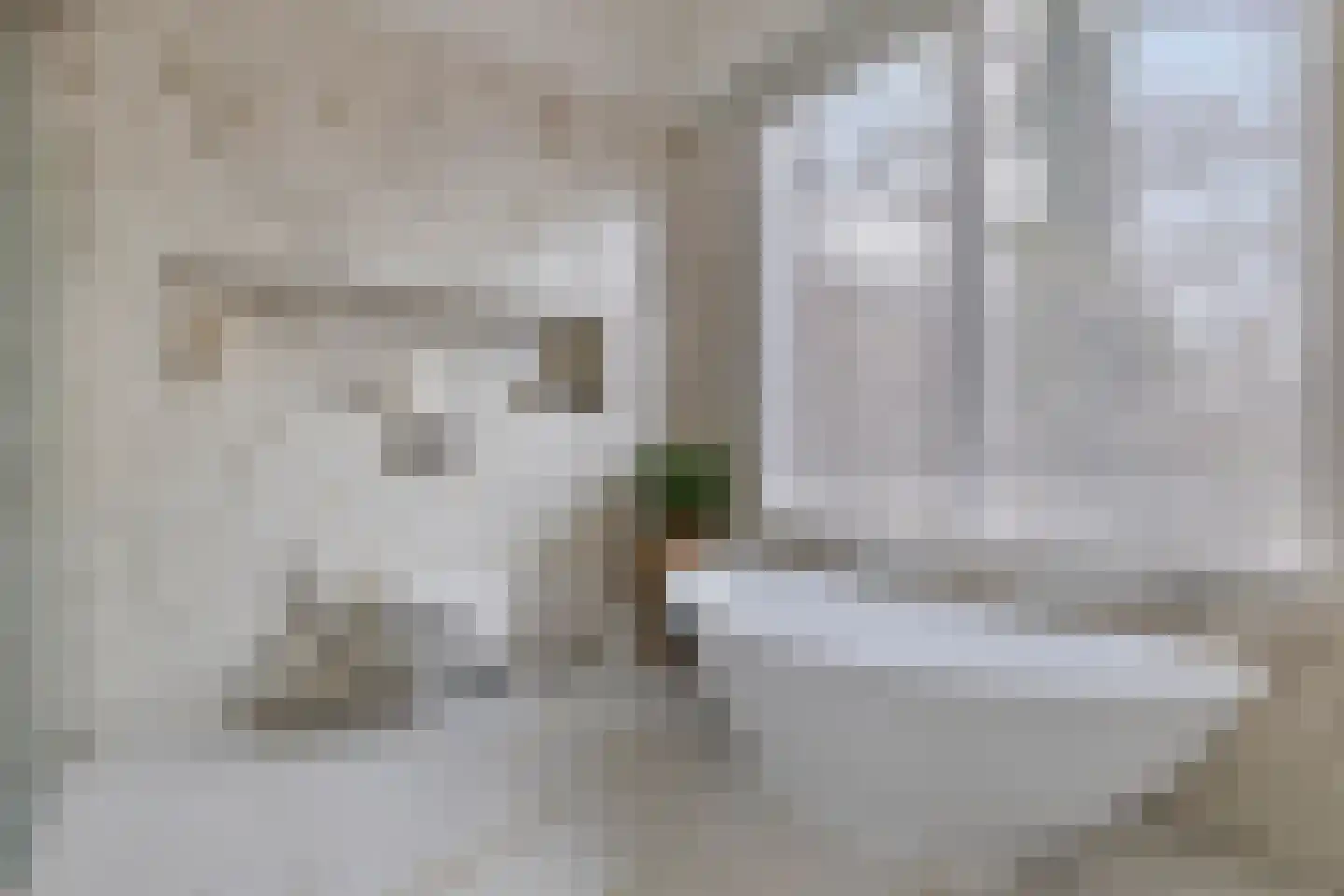 Lagedijk 33 Zaandijk thumbnail 42