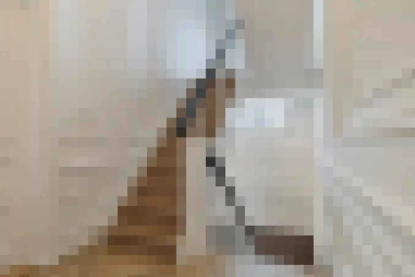 Lagedijk 33 Zaandijk thumbnail 49