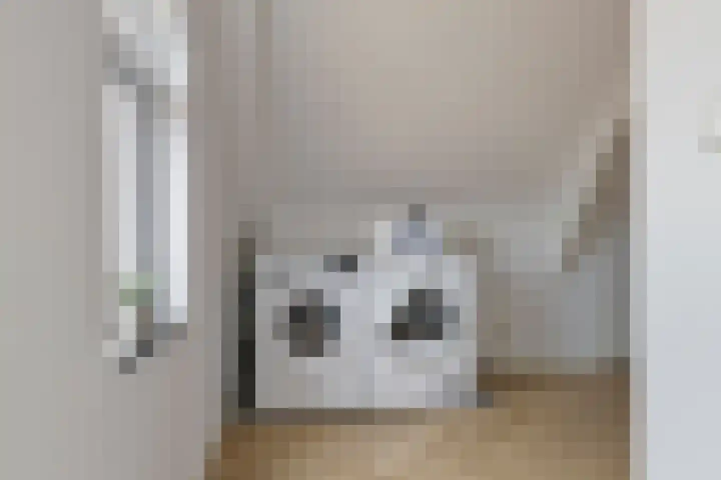 Lagedijk 33 Zaandijk thumbnail 51