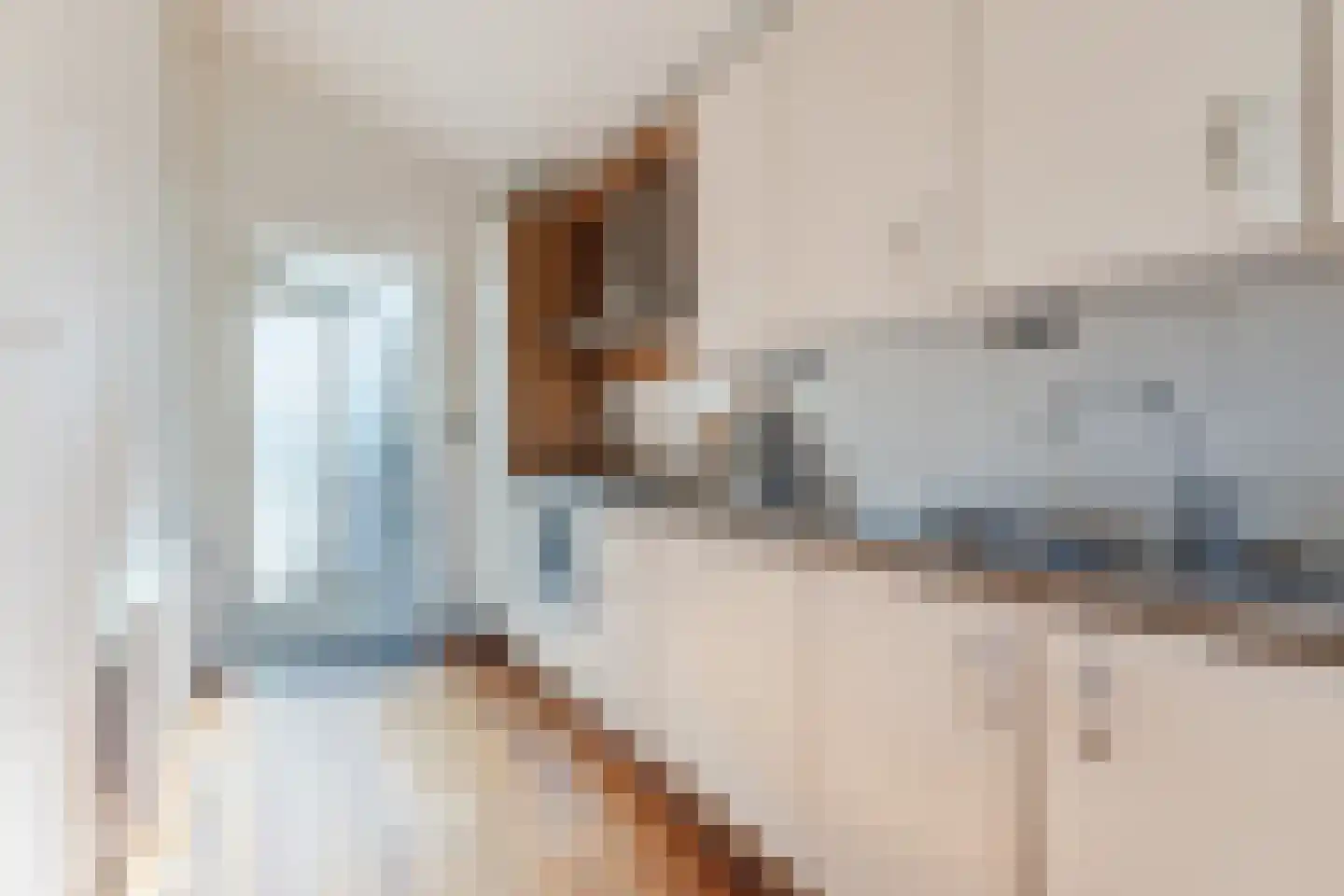 Lagedijk 36 Zaandijk thumbnail 13