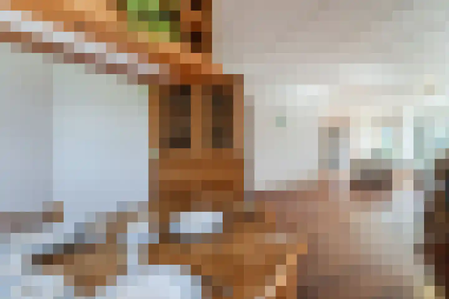 Lagedijk 36 Zaandijk thumbnail 16