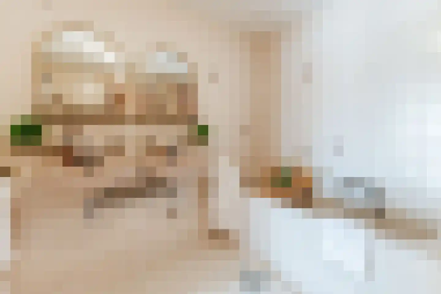 Lagedijk 36 Zaandijk thumbnail 32