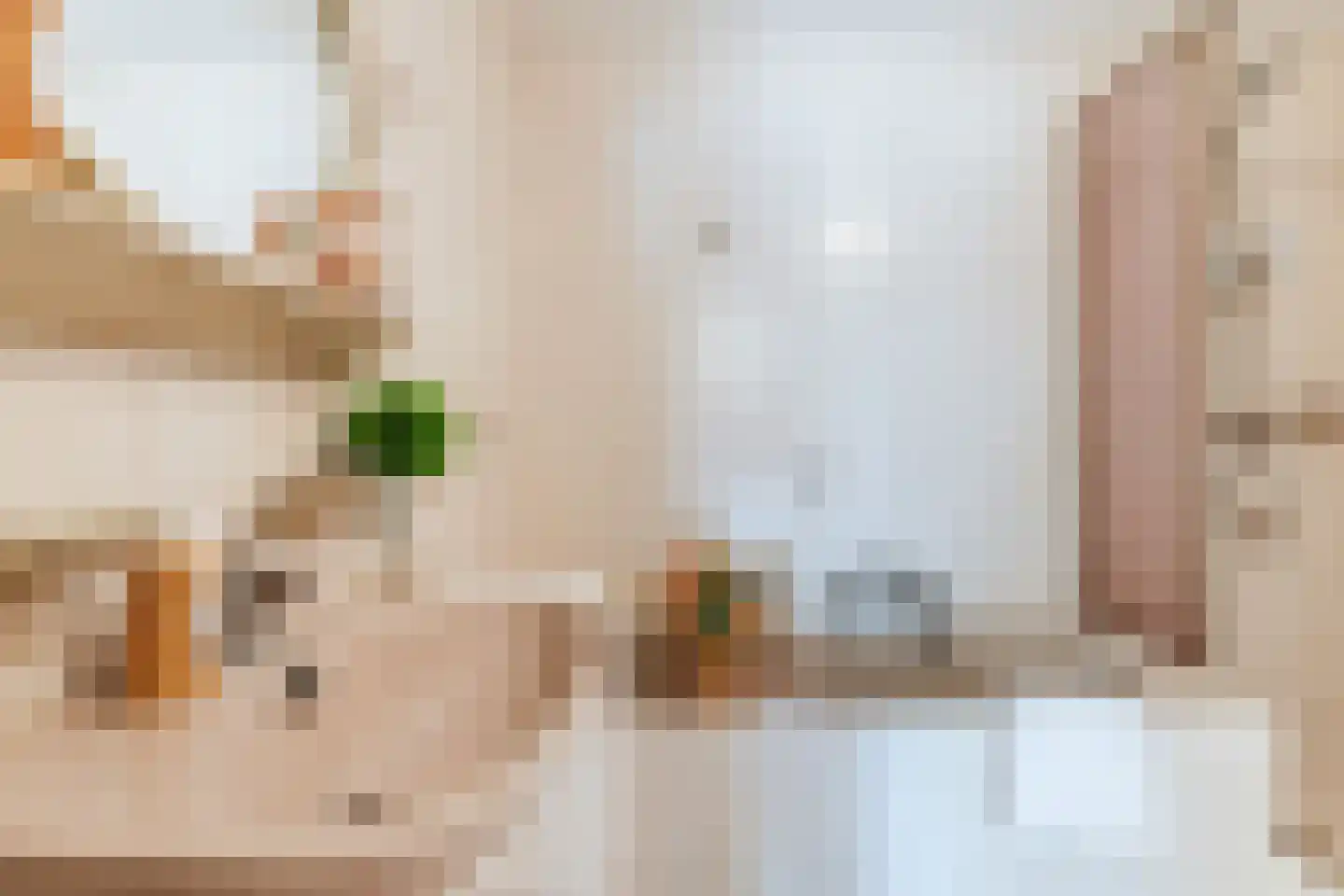 Lagedijk 36 Zaandijk thumbnail 33