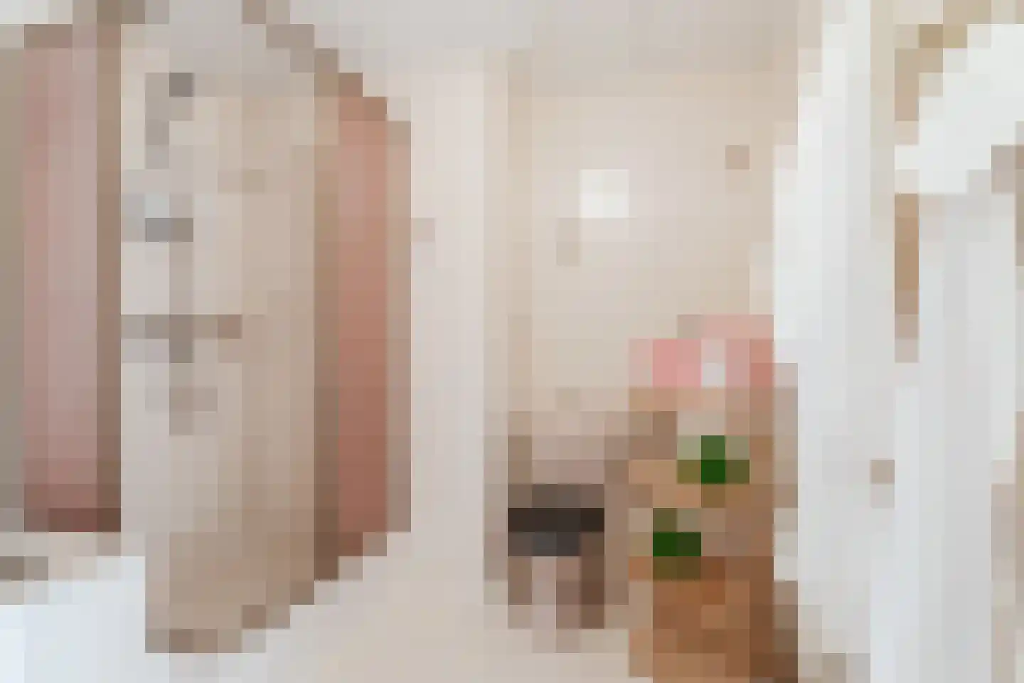 Lagedijk 36 Zaandijk thumbnail 34