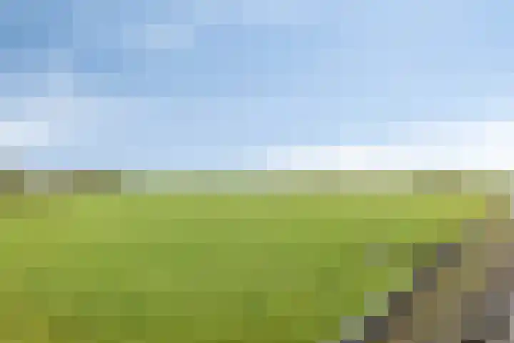 Lagedijk 4 b Spaarndam thumbnail 22