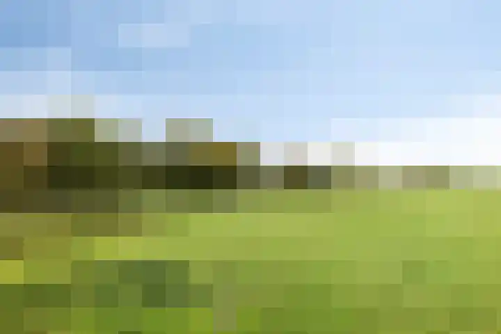 Lagedijk 4 b Spaarndam thumbnail 23