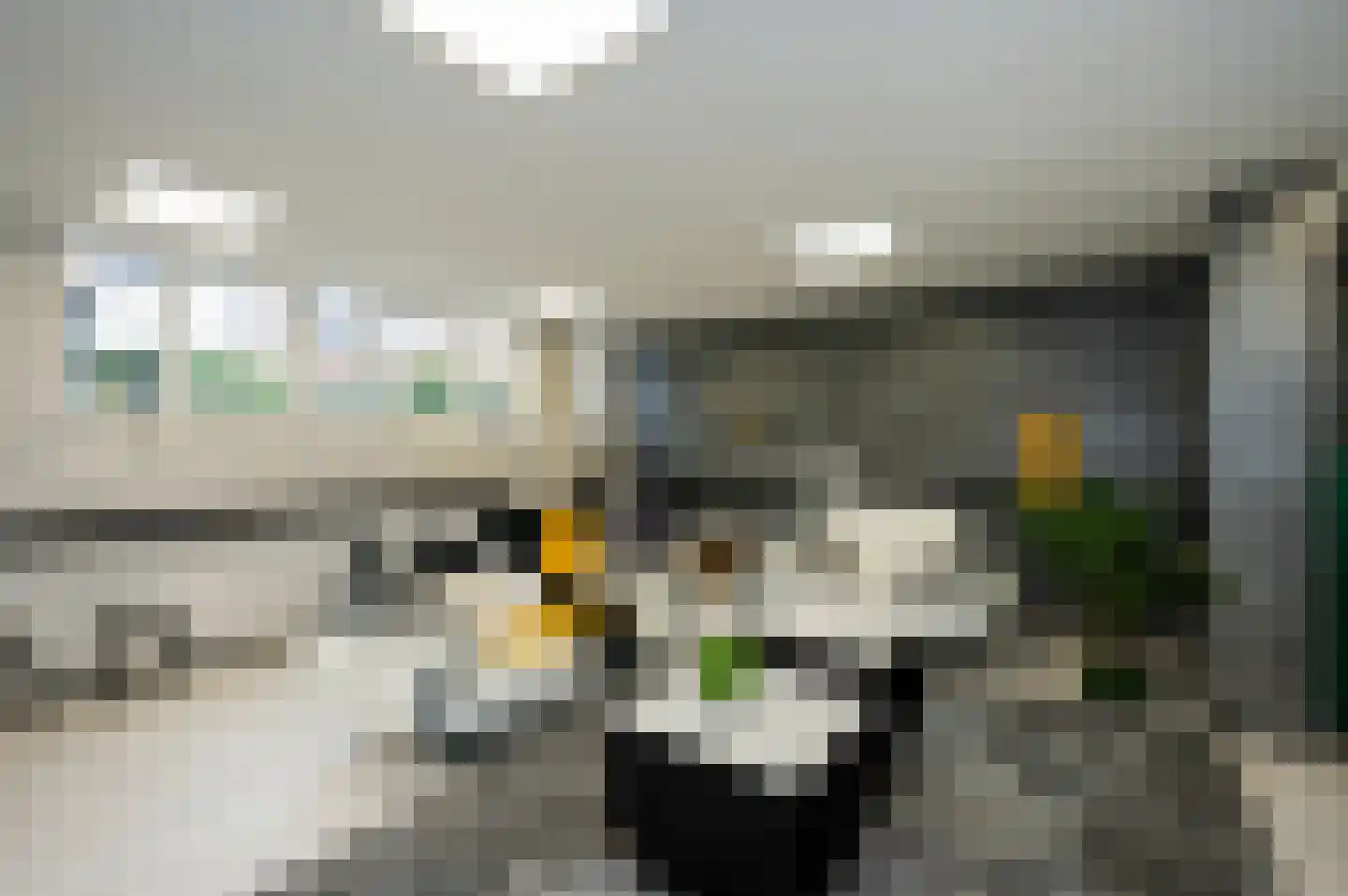 Lagedijk 51 Spaarndam thumbnail 32