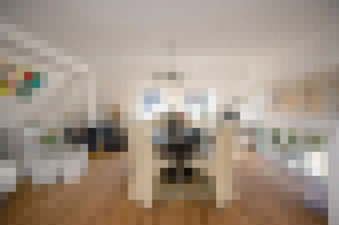 Lagedijk 51 Spaarndam thumbnail 8