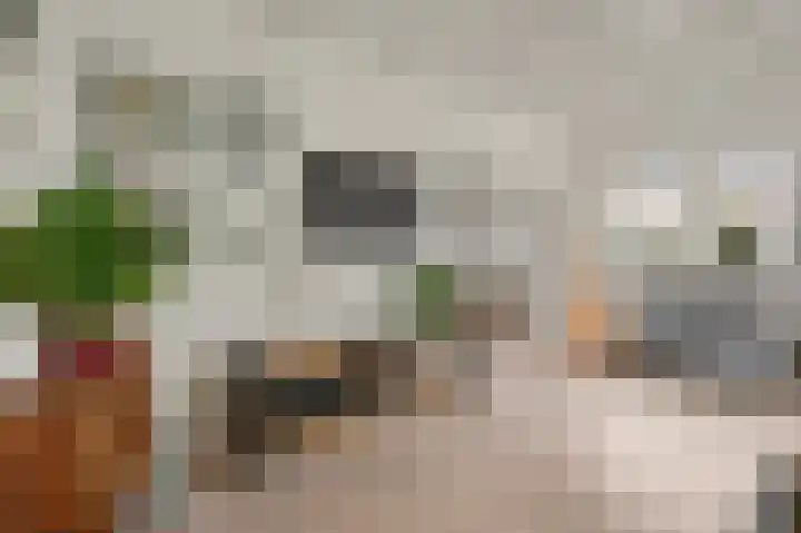 Lagedijk 51 Zaandijk thumbnail 4