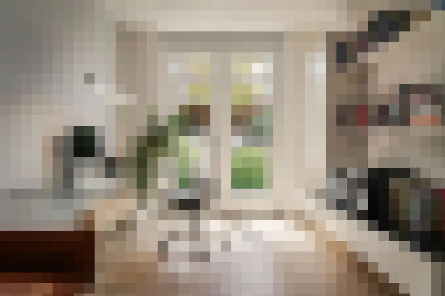 Lagedijk 52 Spaarndam thumbnail 14