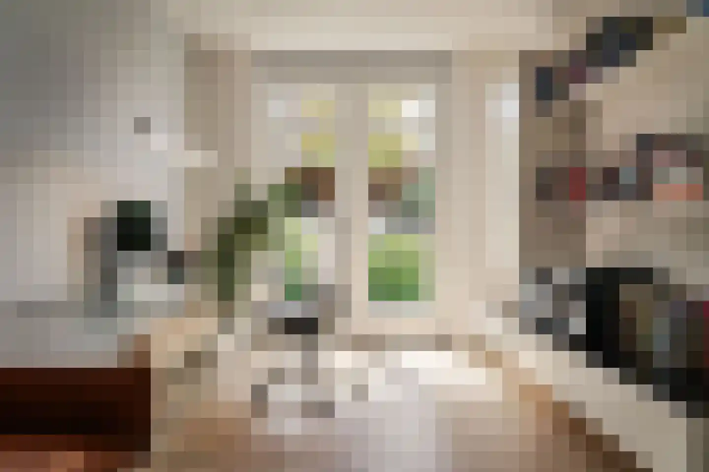 Lagedijk 52 Spaarndam thumbnail 14