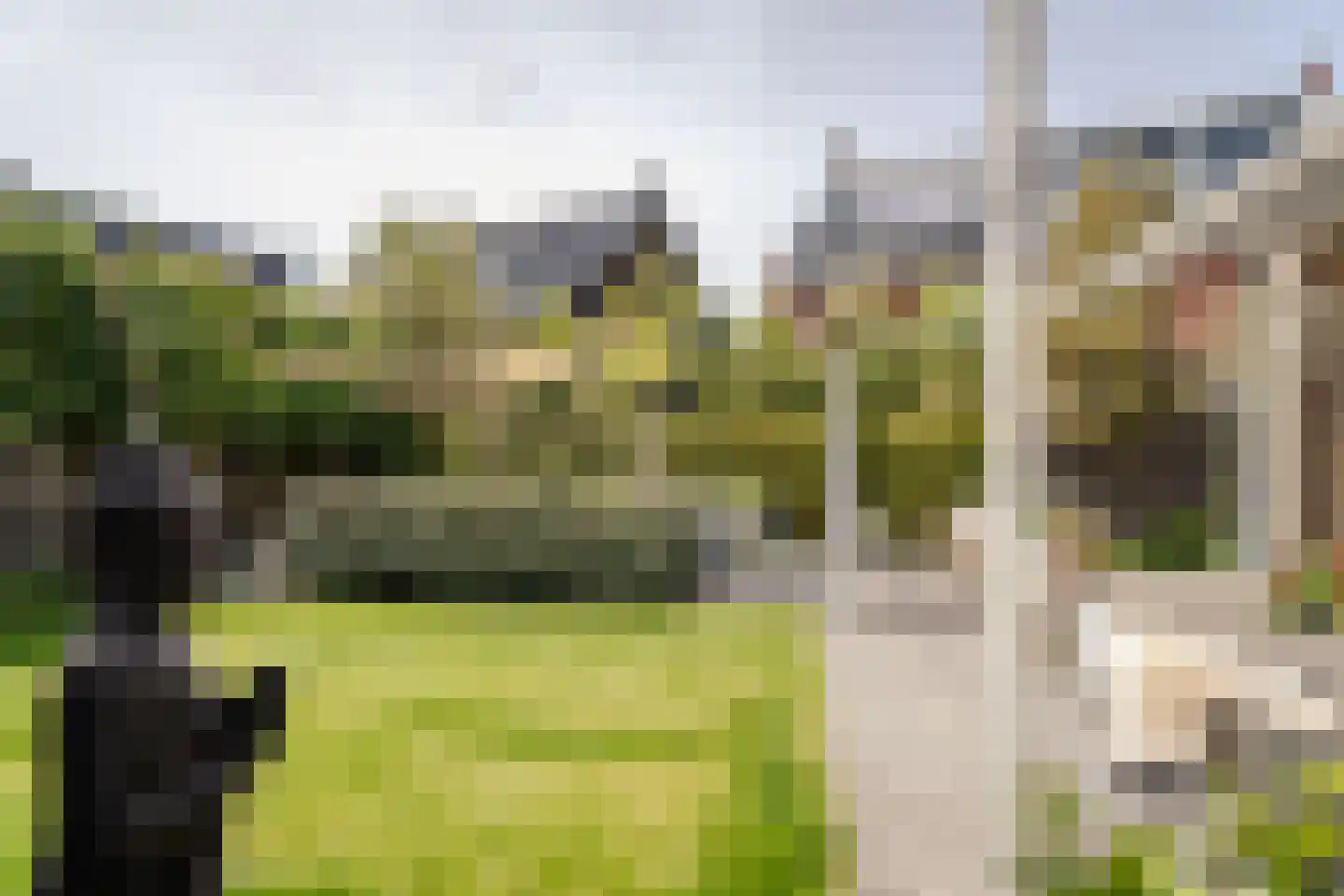 Lagedijk 52 Spaarndam thumbnail 21
