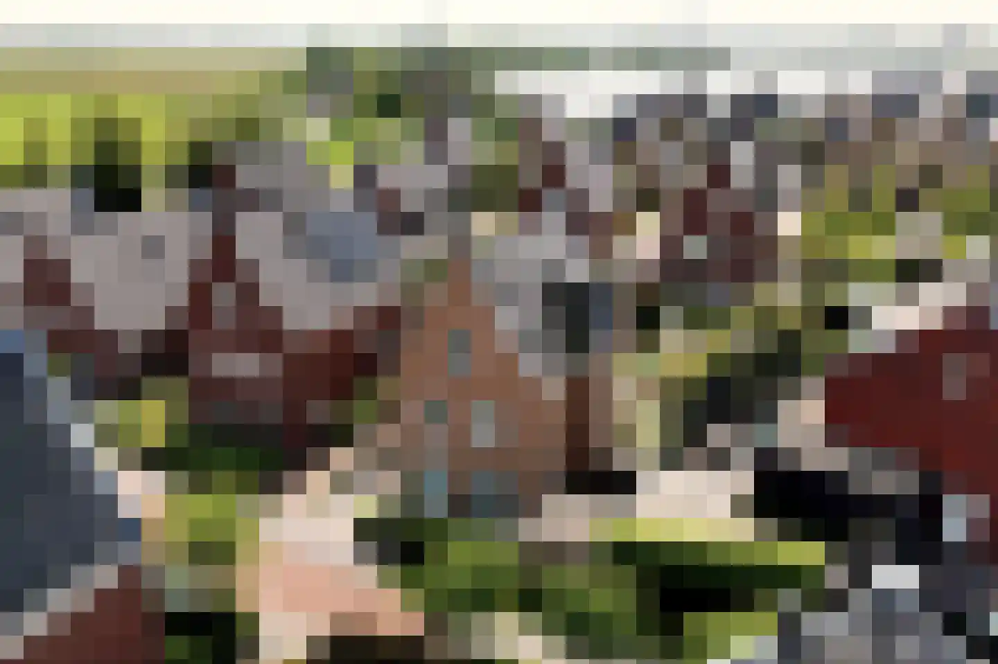 Lagedijk 52 Spaarndam thumbnail 58