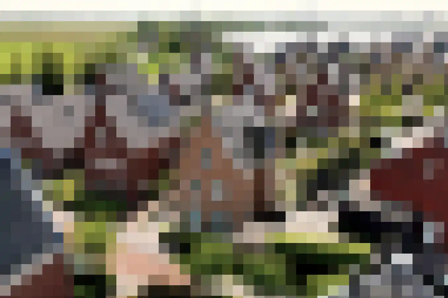 Lagedijk 52 Spaarndam thumbnail 58