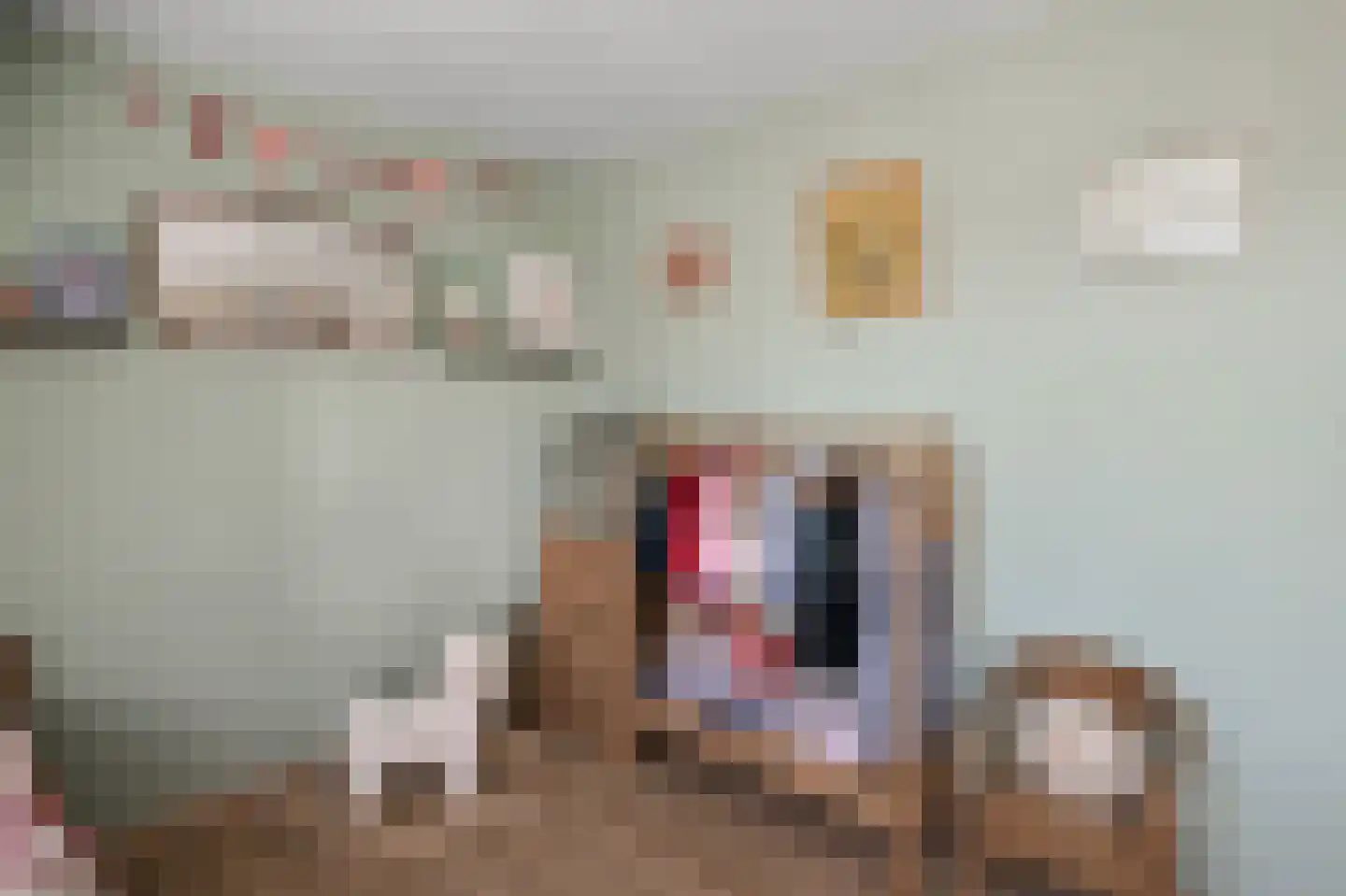 Lagedijk 55 Zaandijk thumbnail 23