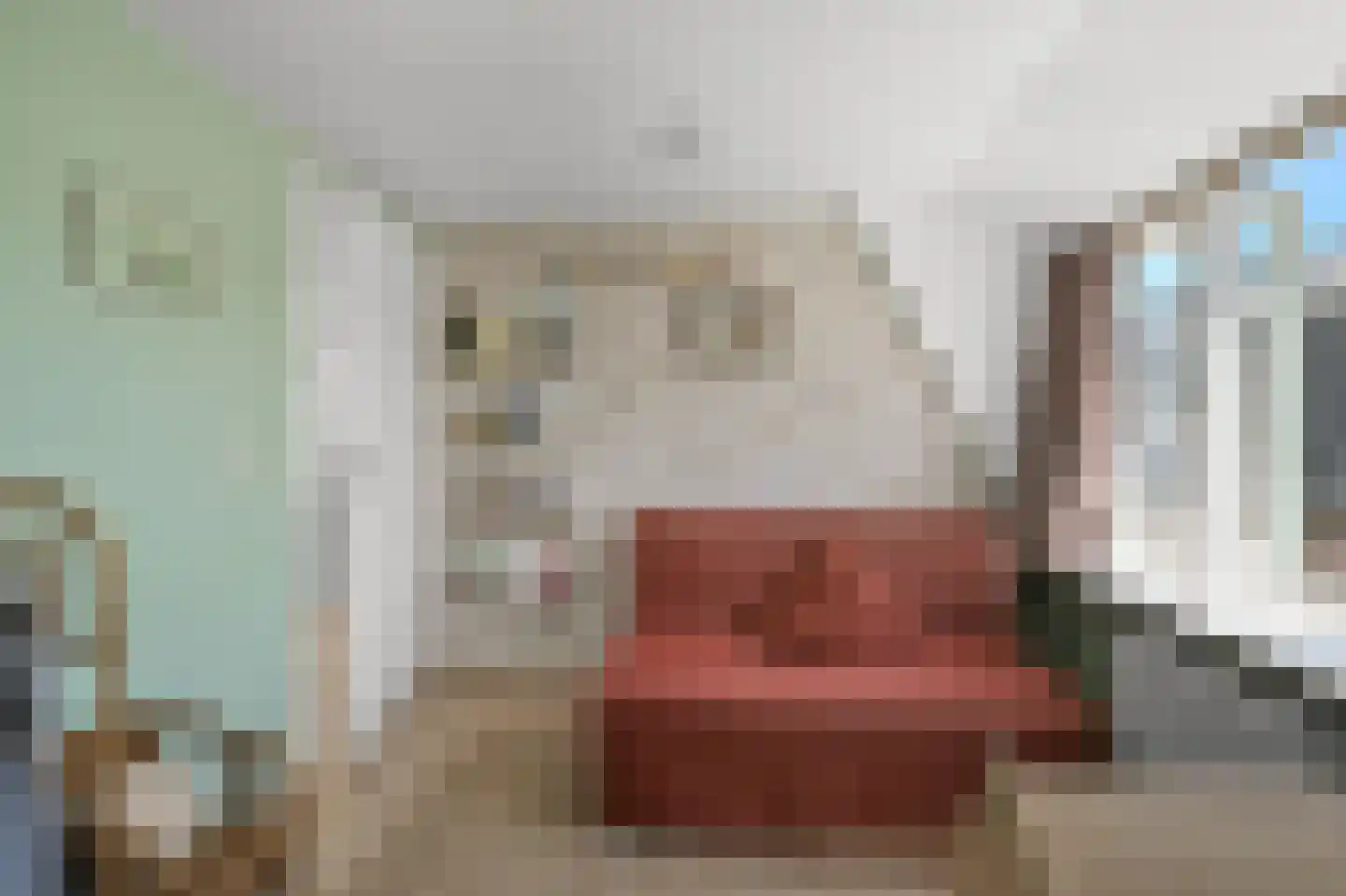 Lagedijk 55 Zaandijk thumbnail 25