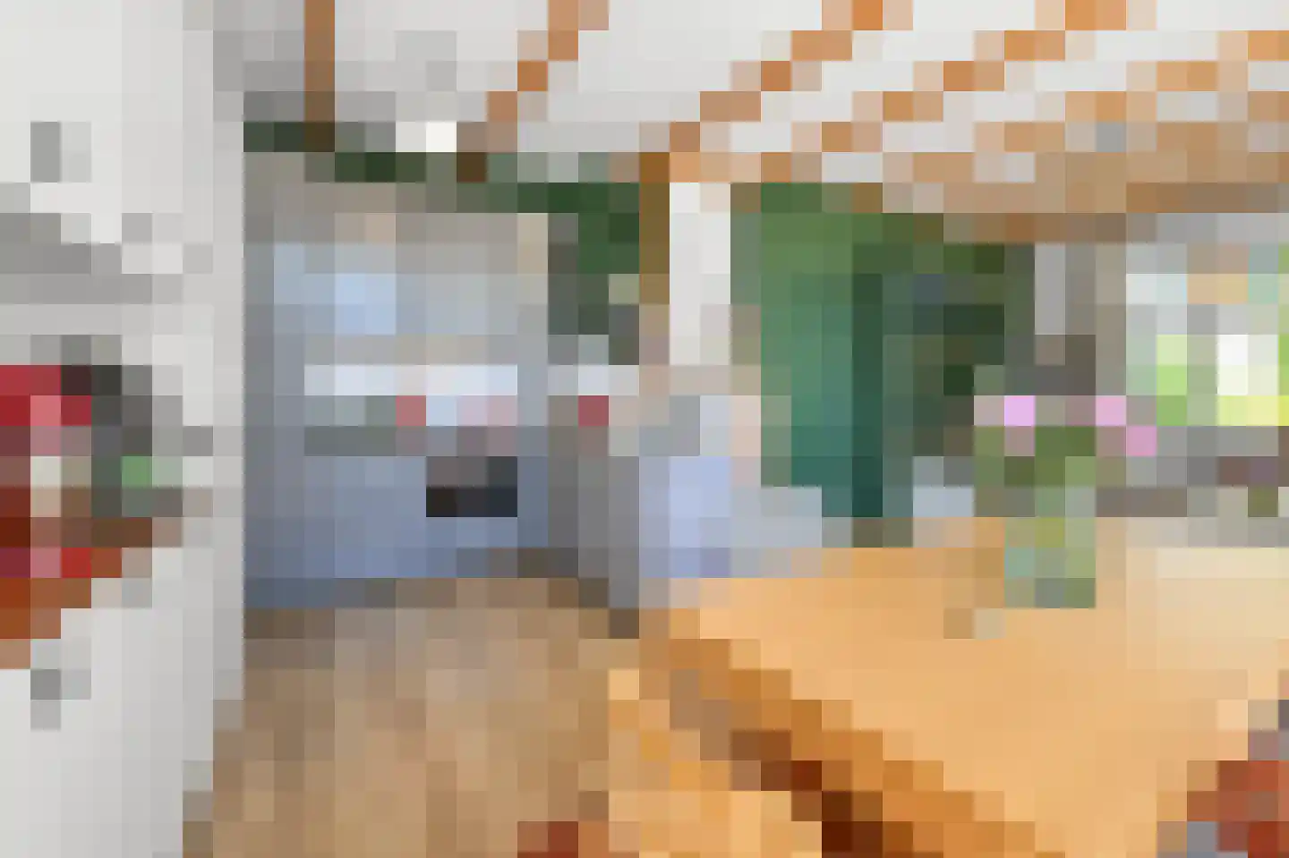 Lagedijk 55 Zaandijk thumbnail 8