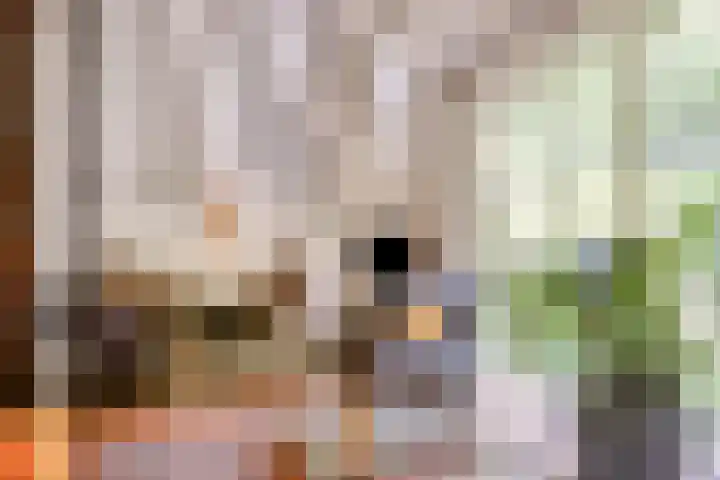 Lagekamp 13 Epe thumbnail 11