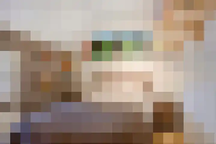 Lagekamp 13 Epe thumbnail 21