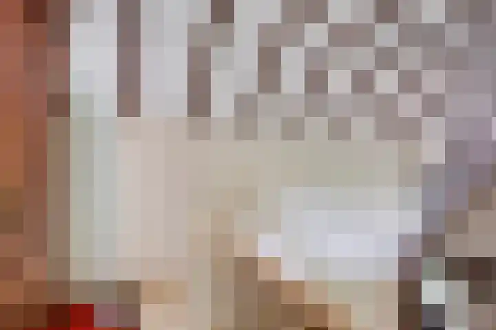 Lagekamp 13 Epe thumbnail 29