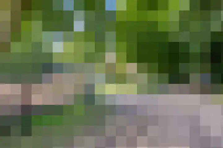 Lagekamp 13 Epe thumbnail 4
