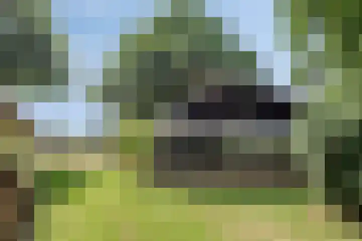 Lagekamp 13 Epe thumbnail 45
