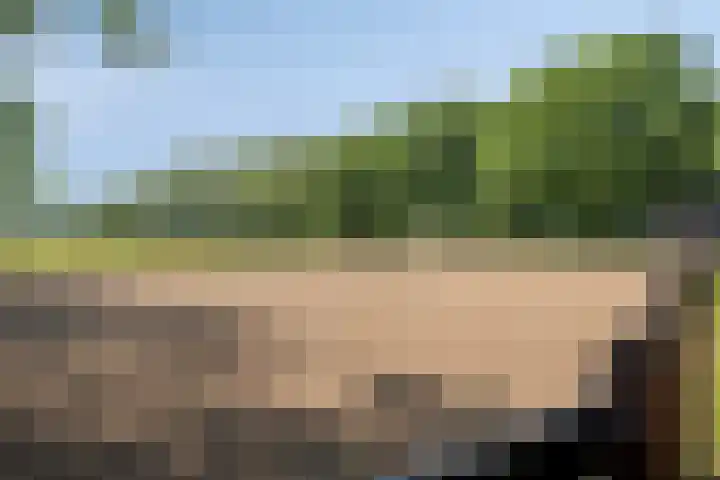 Lagekamp 13 Epe thumbnail 46