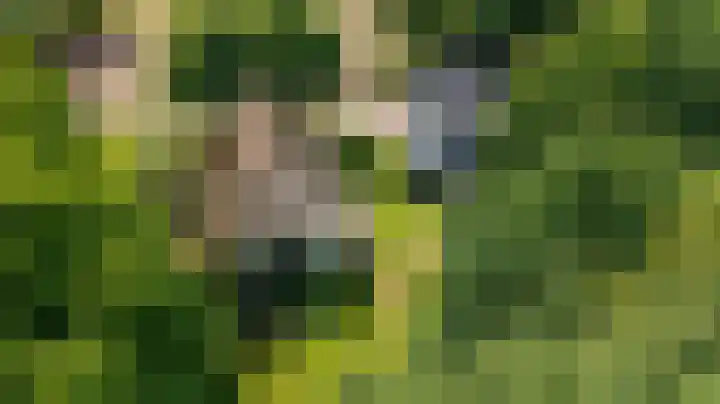 Lagekamp 13 Epe thumbnail 47