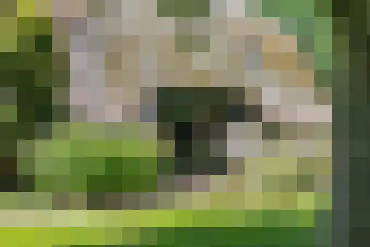 Lagekamp 13 Epe thumbnail 49