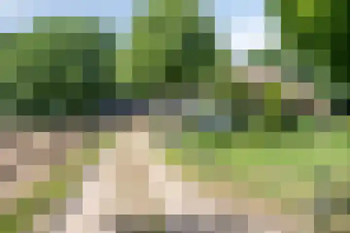 Lagekamp 13 Epe thumbnail 5