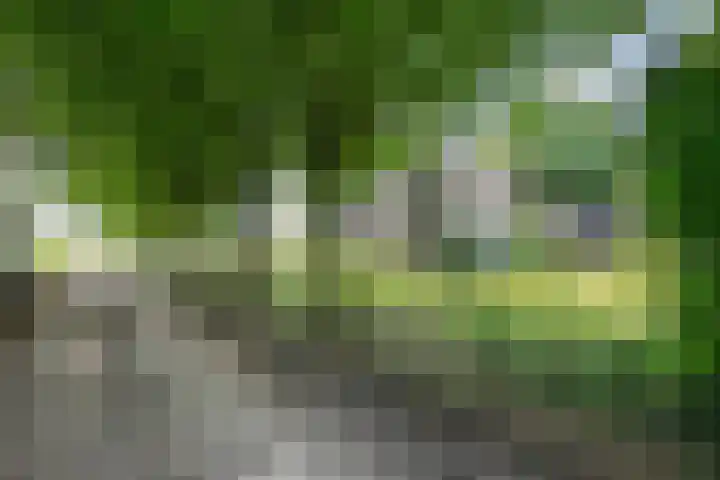 Lagekamp 13 Epe thumbnail 50
