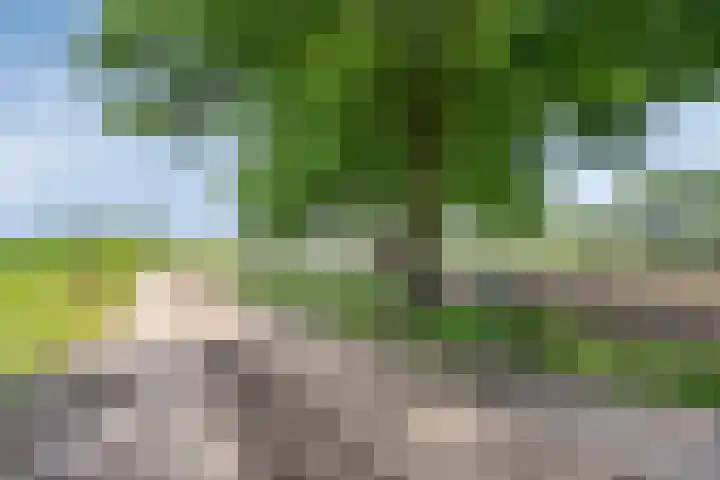 Lagekamp 13 Epe thumbnail 51