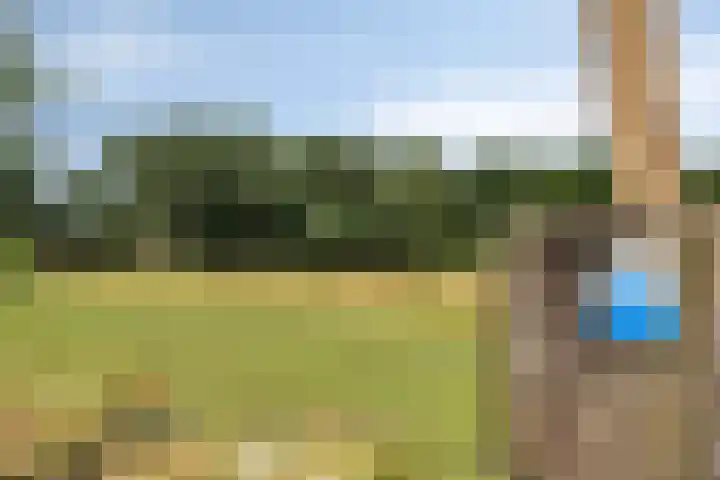 Lagekamp 13 Epe thumbnail 52