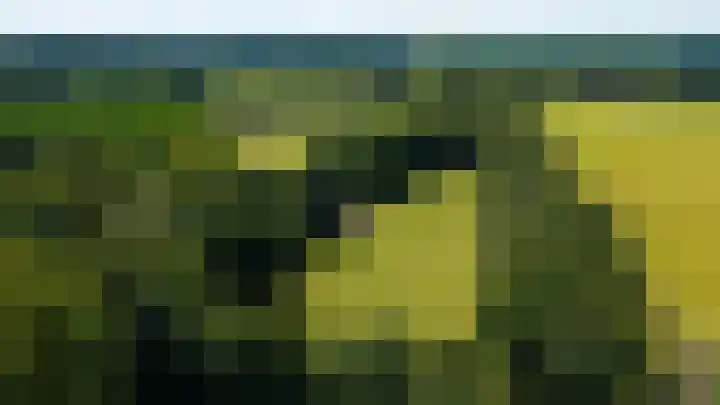 Lagekamp 13 Epe thumbnail 55