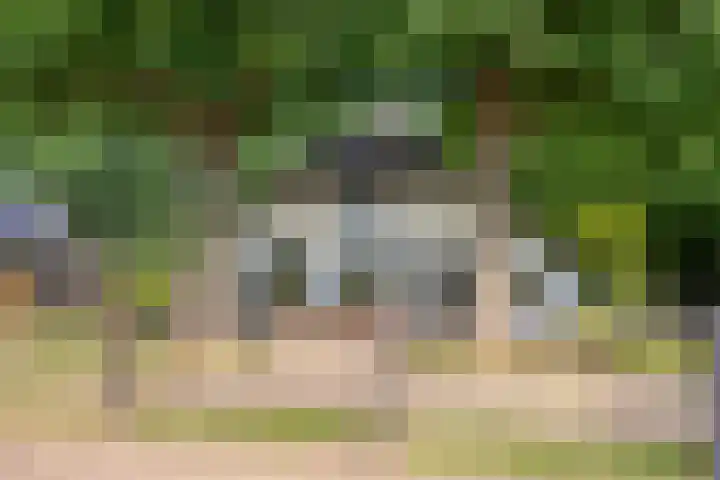 Lagekamp 13 Epe thumbnail 6